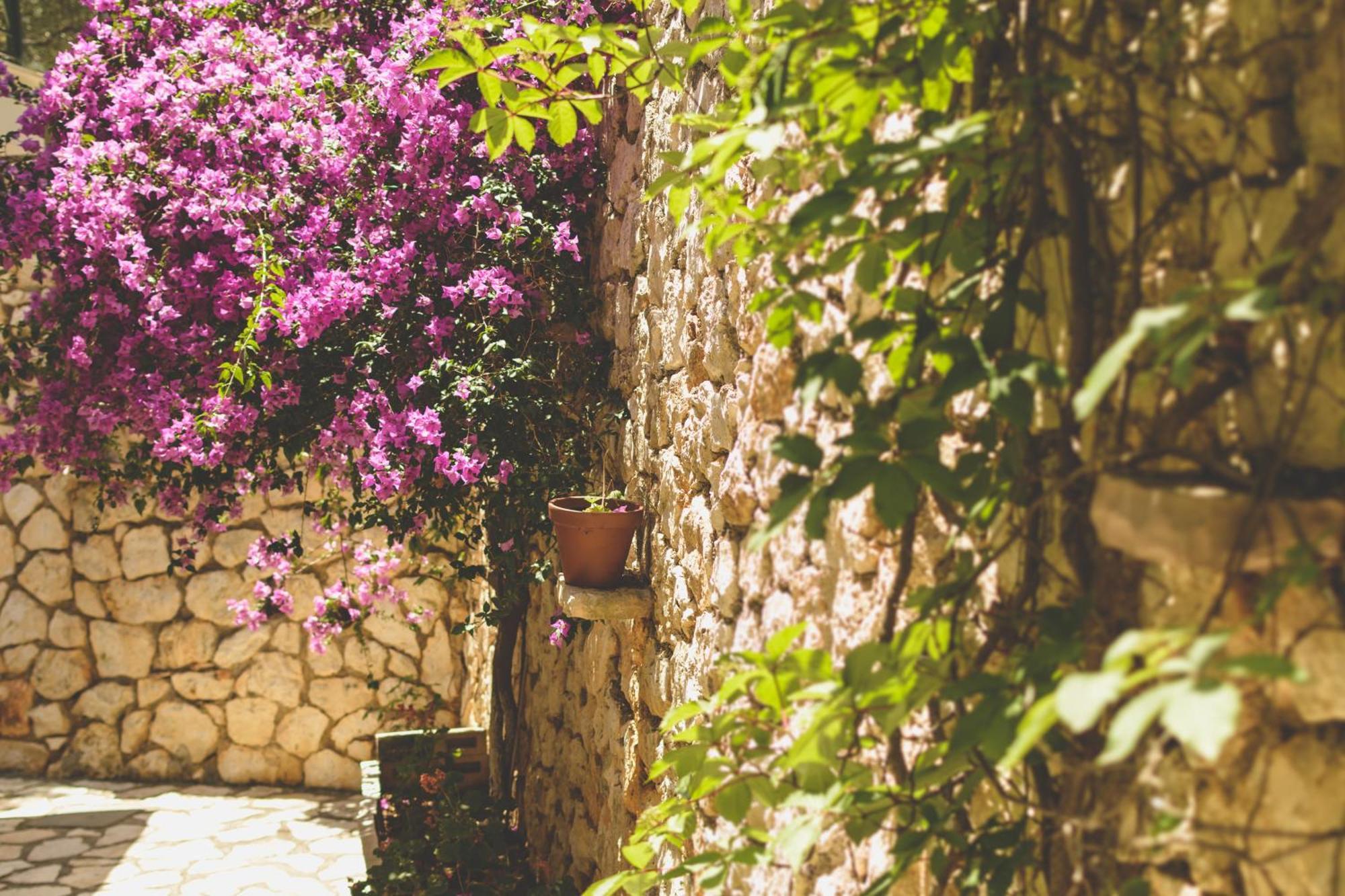 Althea Studios Lefkada Άγιος Νικήτας Δωμάτιο φωτογραφία