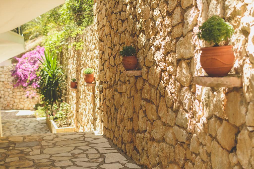 Althea Studios Lefkada Άγιος Νικήτας Δωμάτιο φωτογραφία